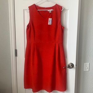 Christopher and Banks textured fit and flare Xl